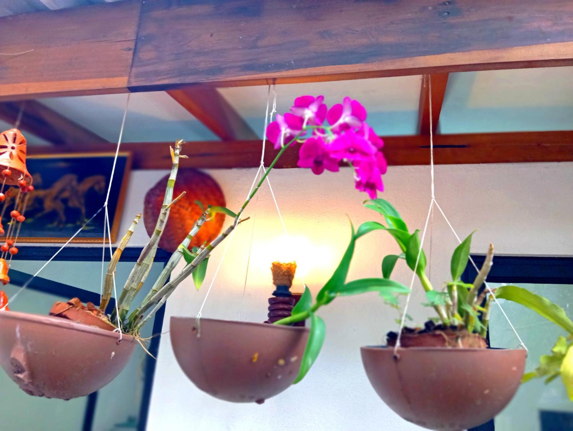 Ramesh Guesthouse Mirissa Bagian luar foto